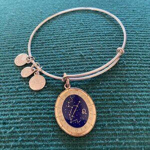 Alex Ani Leo Zodiac Astrology Shiny Silver Expandable Charm Bracelet